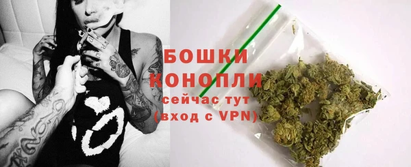 шишки Вязьма