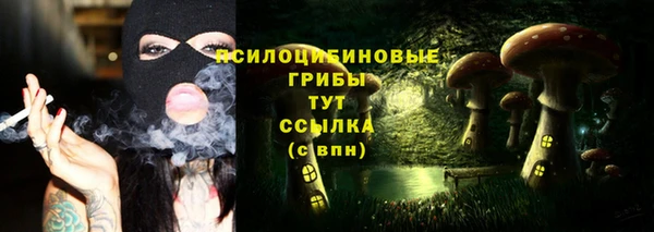 марки nbome Вяземский