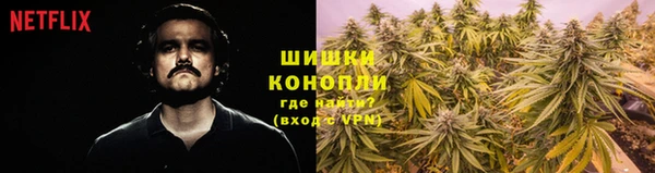 шишки Вязьма