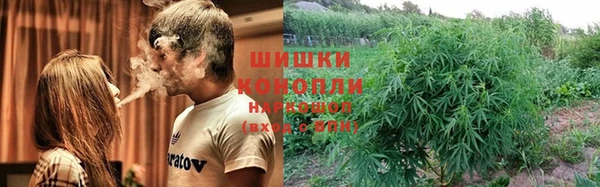 шишки Вязьма