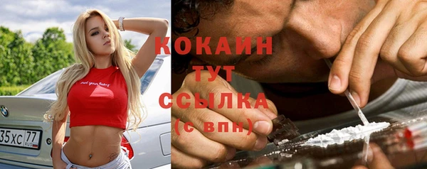 шишки Вязьма