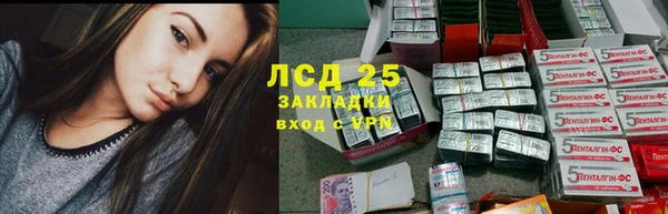 шишки Вязьма
