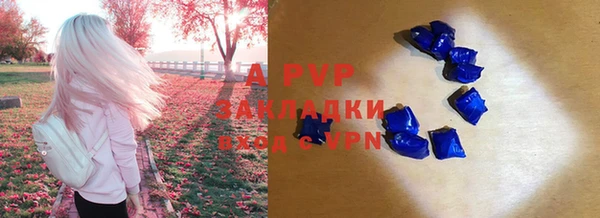 марки nbome Вяземский