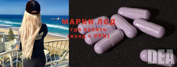 шишки Вязьма
