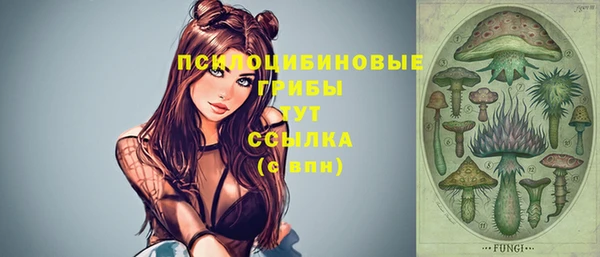 марки nbome Вяземский