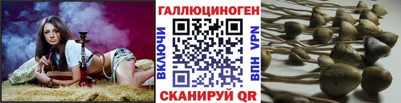 Псилоцибиновые грибы мухоморы Кремёнки