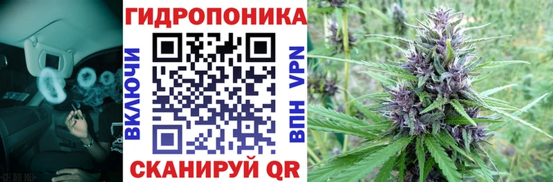 Конопля тримм  Купить закладки  Кремёнки 